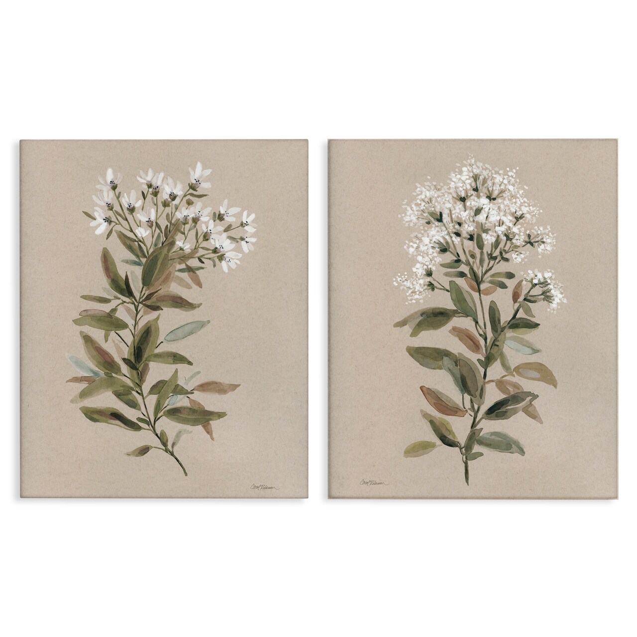 Stupell Industries Lovely White Floral Stem 2 pc Canvas Wall Art Set Design by Carol Robinson